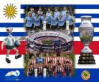 Уругвай против Парагвай. Заключительные Копа Америка Аргентина 2011 года. 24 июля стадио́н Монументальная, Буэнос-Айрес